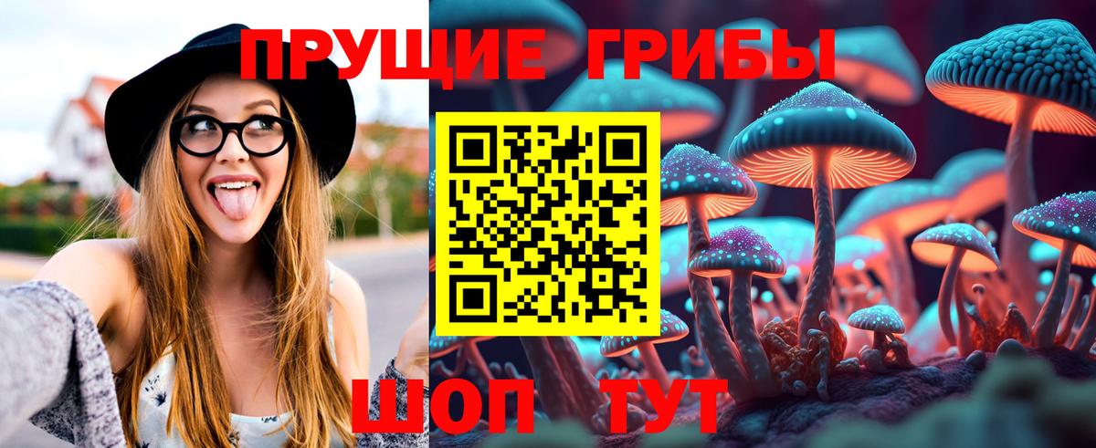Псилоцибиновые грибы Cubensis  Галлюциногенные грибы MAGIC MUSHROOMS  Калуга  Вход с VPN 